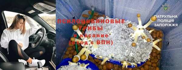 дмт Бородино