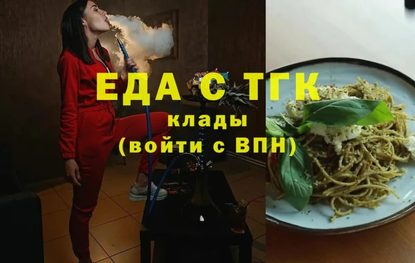 дмт Бородино
