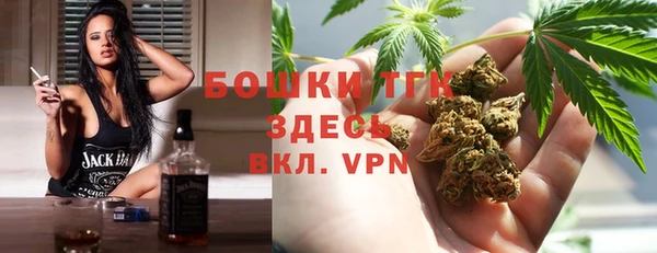 дмт Бородино