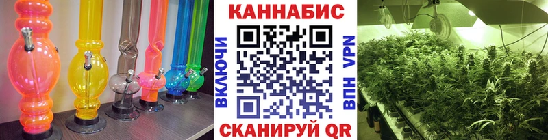 Бошки марихуана марихуана  Новомичуринск 